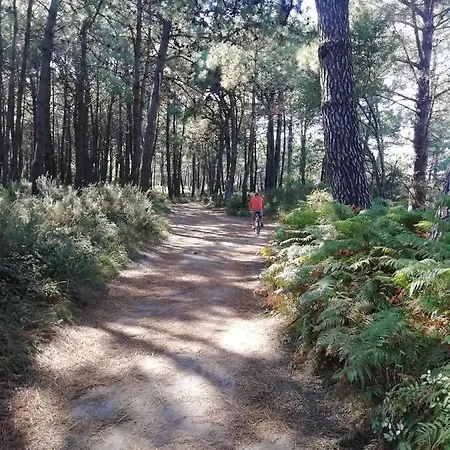 Appartamento Piso Collazo