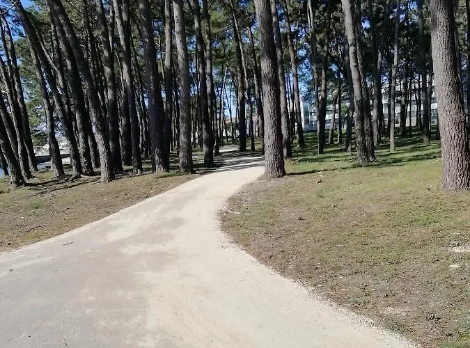 アパート Piso Collazo *