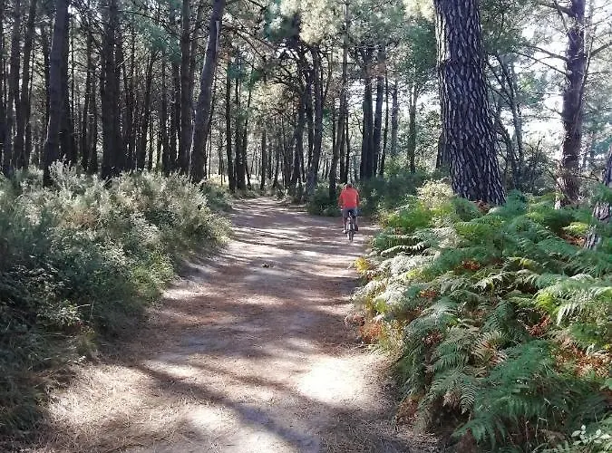 アパート Piso Collazo