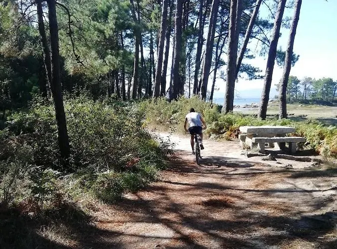 Piso Collazo * イスラ・デ・アローサ